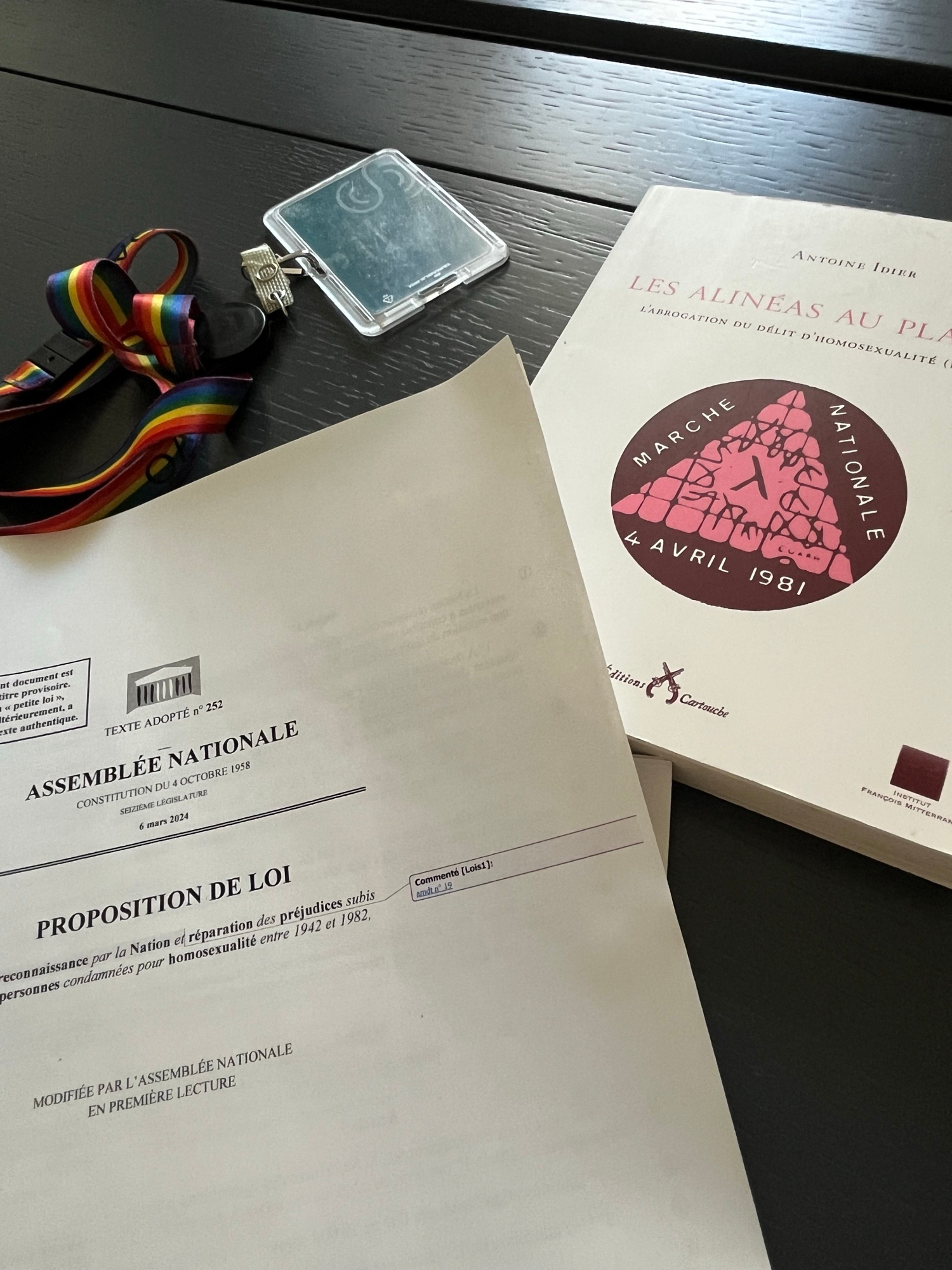 Construire la mémoire de la dépénalisation de l’homosexualité